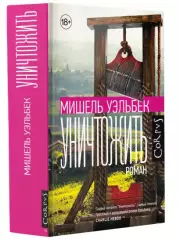 Уничтожить, Мишель Уэльбек