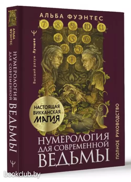 Нумерология для современной ведьмы. Полное руководство