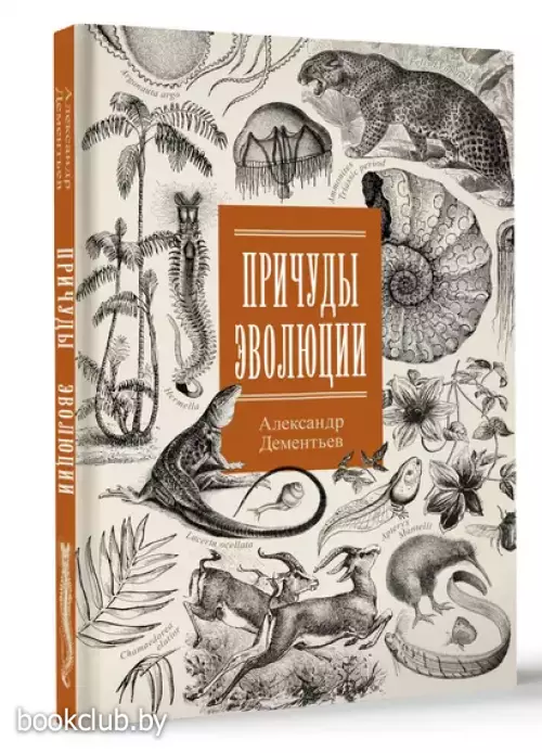 Причуды эволюции