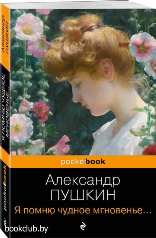 Я помню чудное мгновенье... Стихотворения (Pocket book)