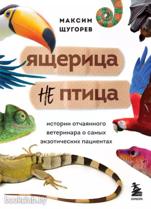 Ящерица не птица. Истории отчаянного ветеринара о самых экзотических пациентах Ящерица не птица. Истории отчаянного ветеринара о самых экзотических пациентах