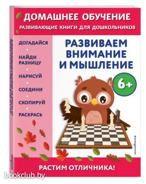 Развиваем внимание и мышление:  для детей от 6 лет  Развиваем внимание и мышление:  для детей от 6 лет