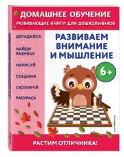 Развиваем внимание и мышление: для детей от 6 лет, Беркай Динч