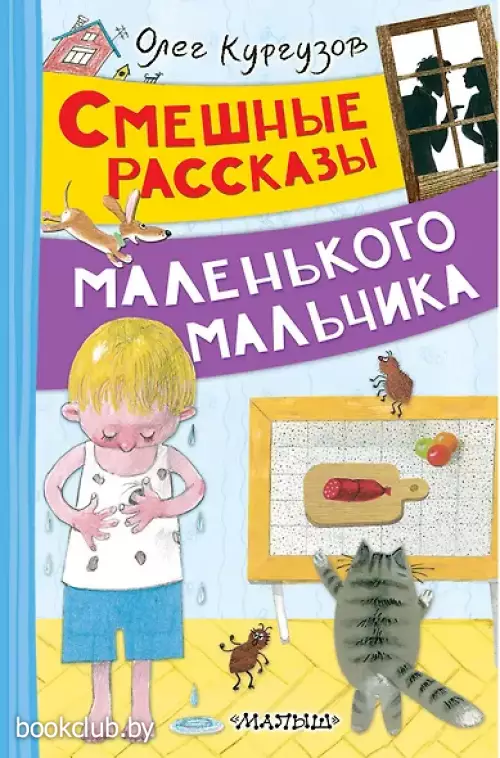  Смешные рассказы маленького мальчика