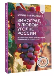 Виноград в любом уголке России. Проверенная и эффективная методика выращивания капризной ягоды