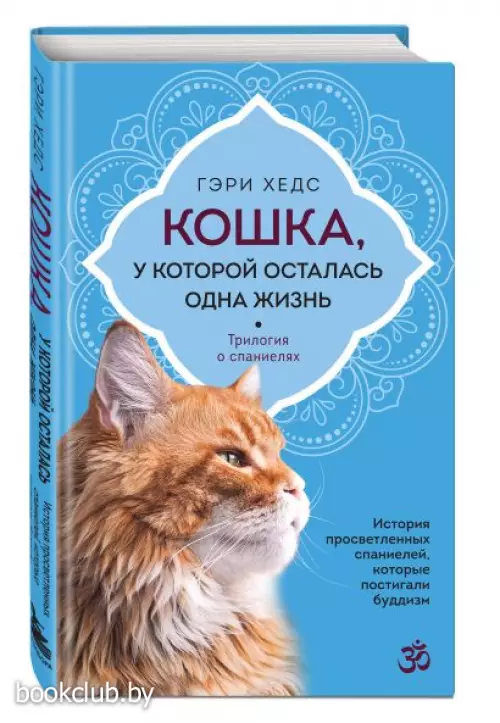 Кошка, у которой осталась одна жизнь