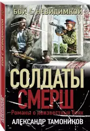 Бой с невидимкой, Александр Тамоников