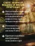 Таро Зеленого пути. True Witch Tarot. Изумрудная магия (78 карт + инструкция)