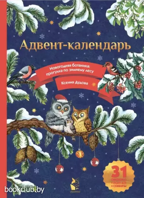 Адвент-календарь. Новогодняя ботаника: прогулка по зимнему лесу