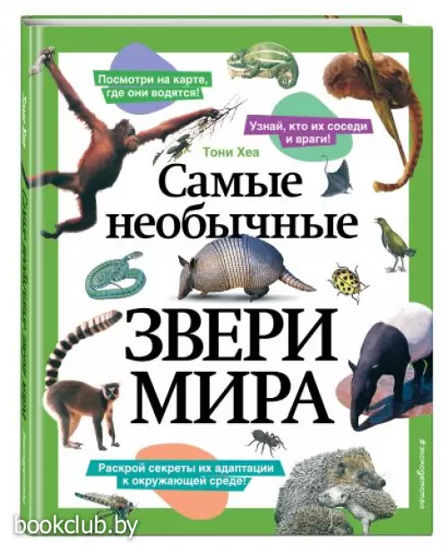 Самые необычные звери мира