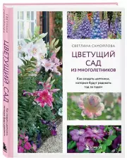 Цветущий сад из многолетников. Как создать цветники, которые будут радовать год за годом