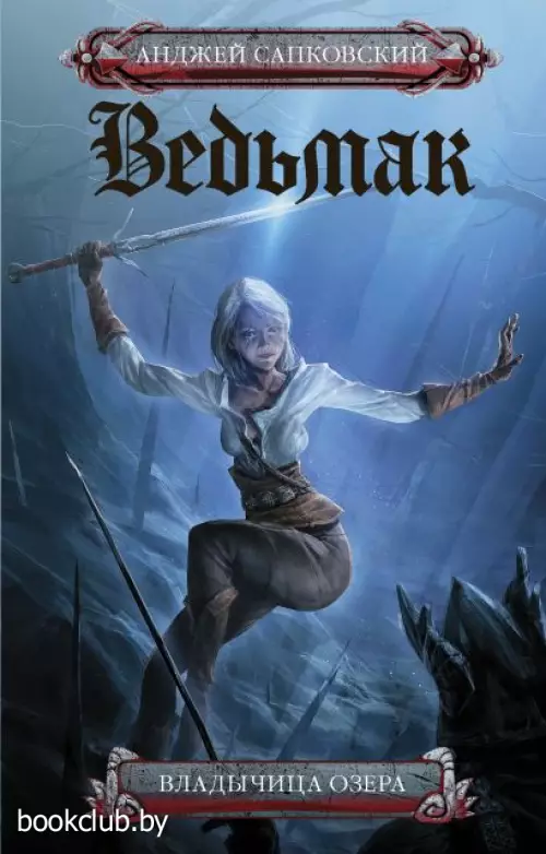 Ведьмак: Владычица озера (544 с.)