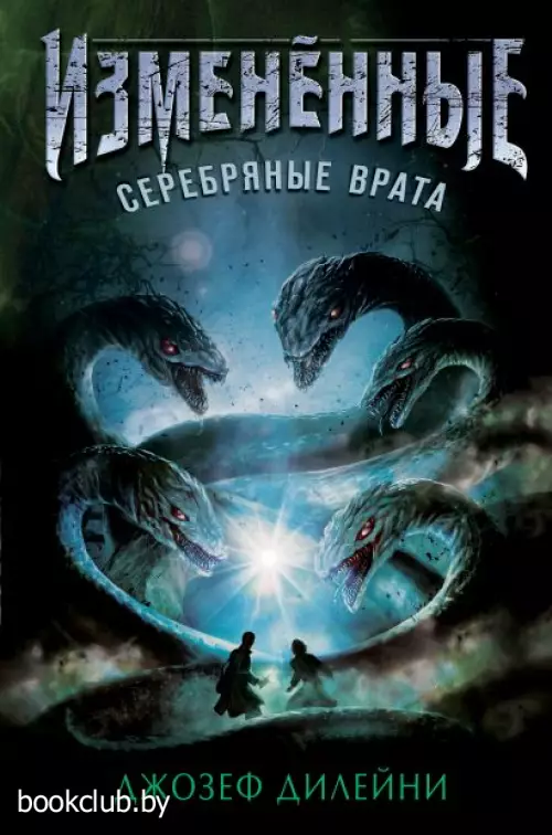 Серебряные врата