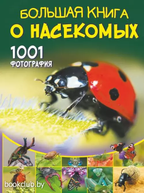 Большая книга о насекомых. 1001 фотография Большая книга о насекомых. 1001 фотография