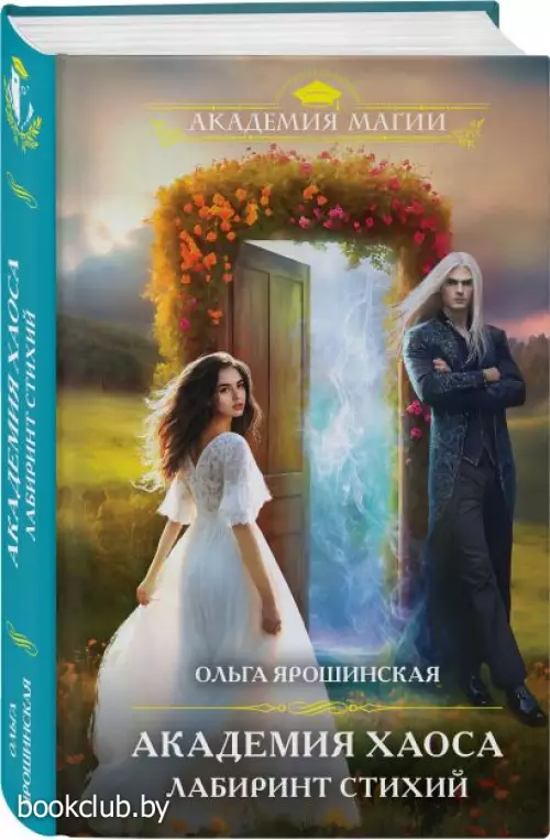 Академия хаоса. Лабиринт стихий
