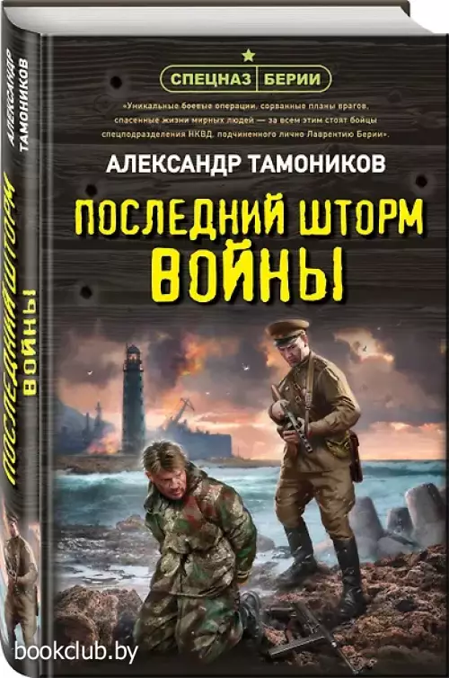 Последний шторм войны