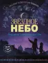 Звездное небо. Популярная астрономия для всех
