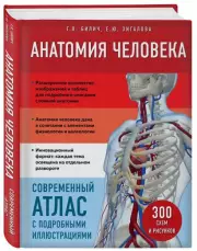 Анатомия человека. Современный атлас с подробными иллюстрациями, Габриэль Билич, Елена Зигалова