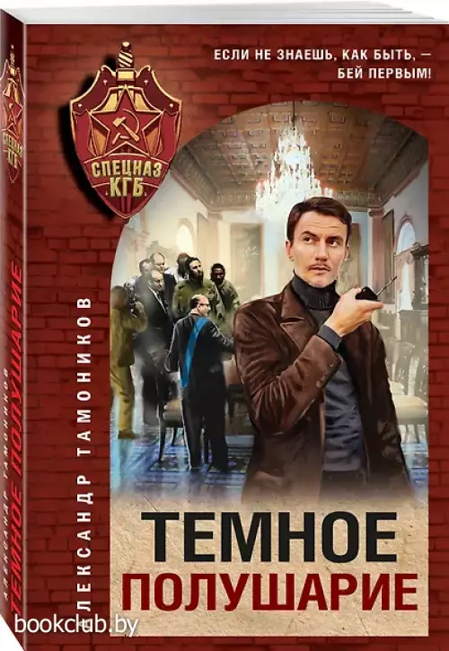 Темное полушарие