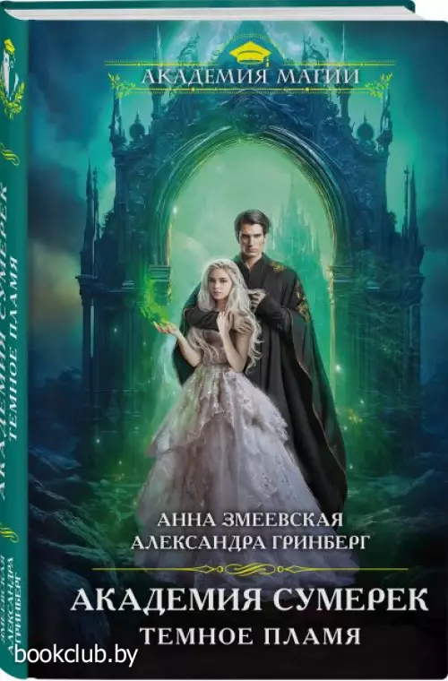 Академия сумерек. Темное пламя