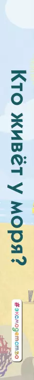 Кто живет у моря? Кто живет у моря?