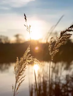 Психологические драмы