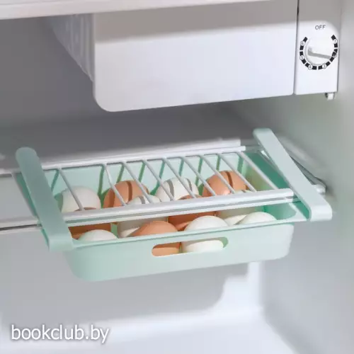 Полка для яиц в холодильник, подвесная, 12 ячеек, 26х17х5 см, цвет МИКС