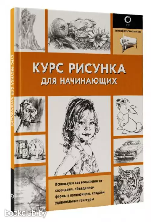 Курс рисунка для начинающих
