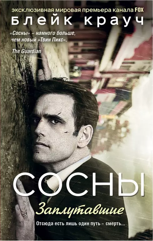 Сосны. Заплутавшие Сосны. Заплутавшие