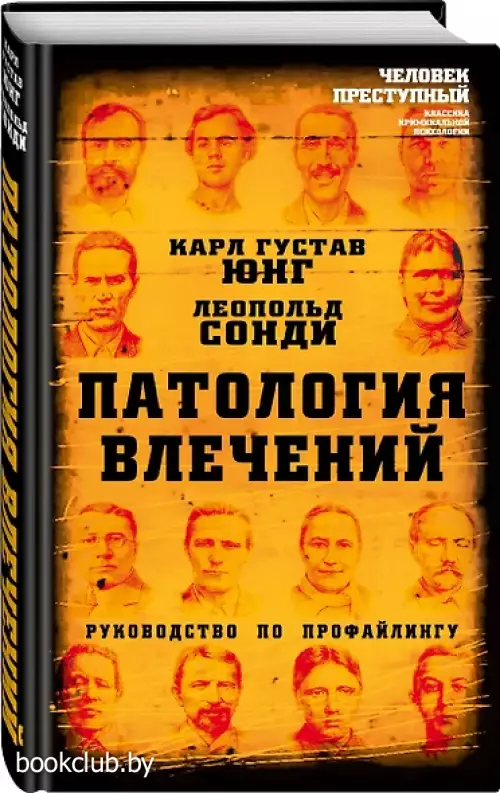 Патология влечений. Руководство по профайлингу