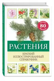 Растения. Краткий иллюстрированный справочник, Хольгер Хааг