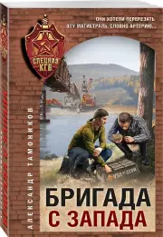Бригада с запада, Александр Тамоников