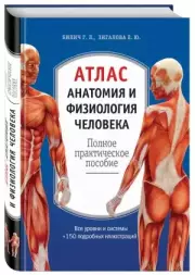Атлас. Анатомия и физиология человека: полное практическое пособие. 2-е издание, дополненное, Габриэль Билич, Елена Зигалова
