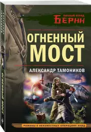 Огненный мост, Александр Тамоников