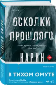 Осколки прошлого, Карин Слотер