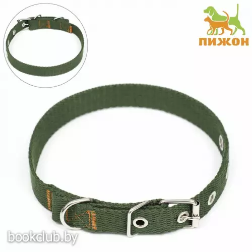 Ошейник брезентовый однослойный, 52 х 2 см, хаки 