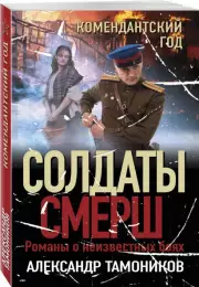 Комендантский год, Александр Тамоников