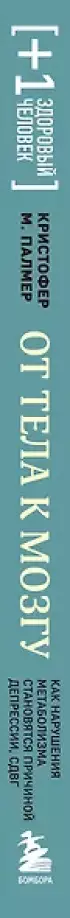 От тела к мозгу. Как нарушения метаболизма становятся причиной депрессии, биполярного расстройства, СДВГ, ПТСР и других заболеваний