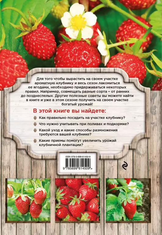 Клубника. Секреты сверхурожая Клубника. Секреты сверхурожая