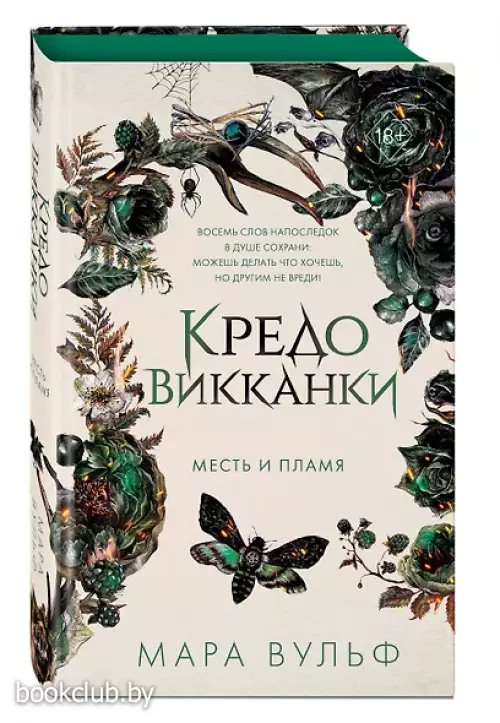Кредо викканки. Месть и пламя (#3)