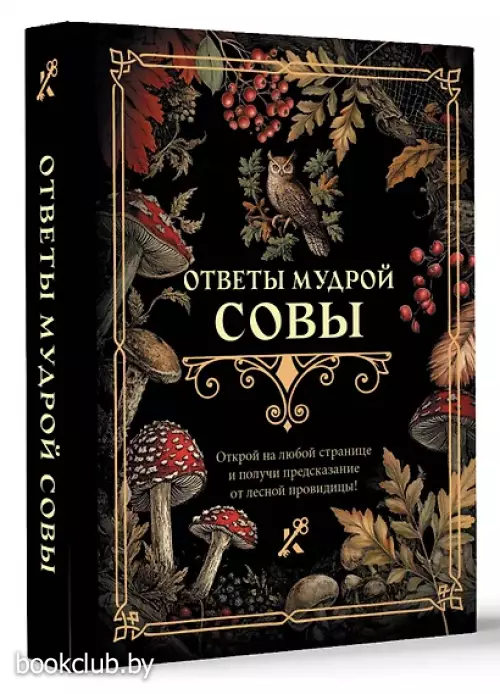 Ответы мудрой совы