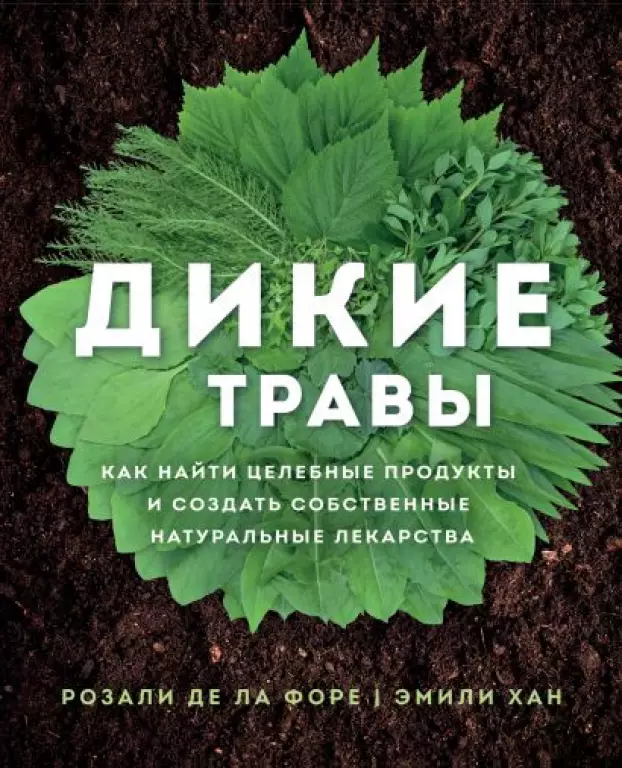 Дикие травы: как найти целебные продукты и создать собственные натуральные лекарства Дикие травы: как найти целебные продукты и создать собственные натуральные лекарства