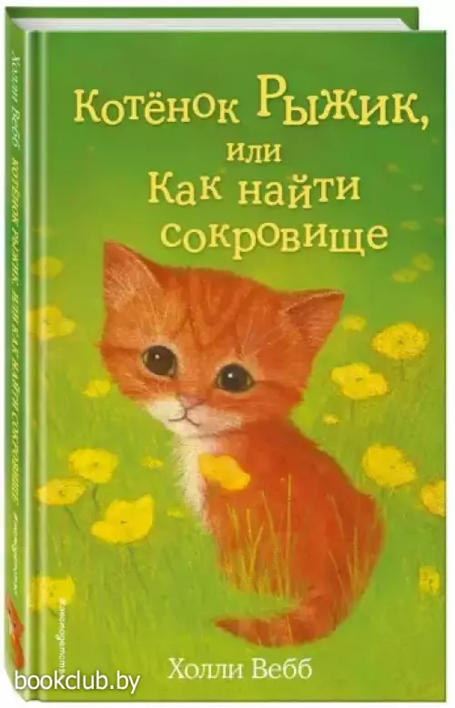 Котенок Рыжик, или Как найти сокровище (выпуск 13)