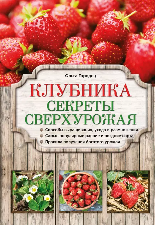 Клубника. Секреты сверхурожая Клубника. Секреты сверхурожая
