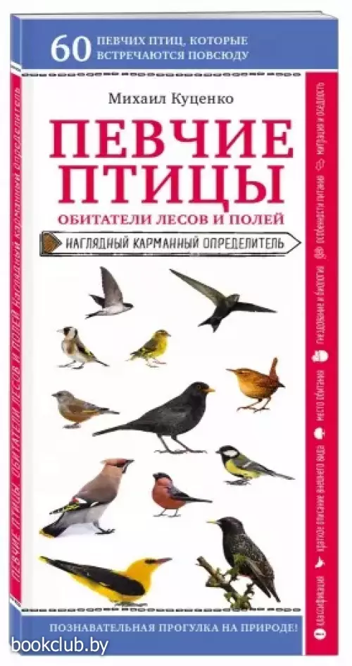 Певчие птицы. Обитатели лесов и полей