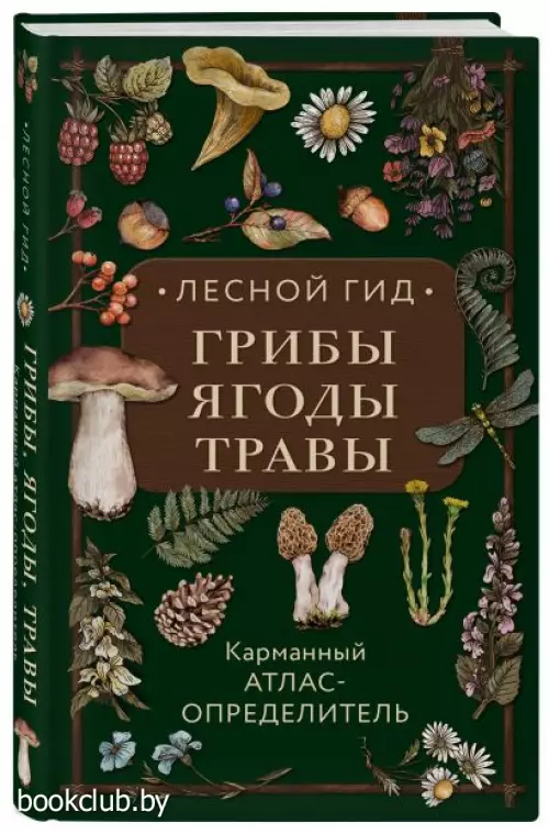 Лесной гид: грибы, ягоды, травы. Карманный атлас-определитель