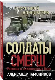 Секретный концлагерь, Александр Тамоников