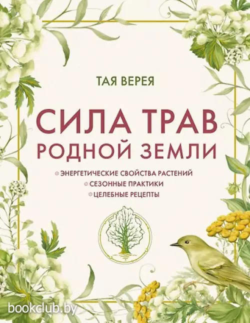 Сила трав родной земли. Энергетические свойства растений, сезонные практики и целебные рецепты