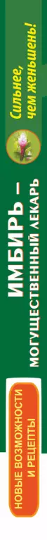 Имбирь – могущественный лекарь. Сильнее, чем женьшень! Новые возможности и рецепты Имбирь – могущественный лекарь. Сильнее, чем женьшень! Новые возможности и рецепты