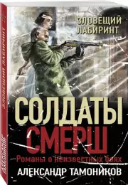 Зловещий лабиринт (м), Александр Тамоников